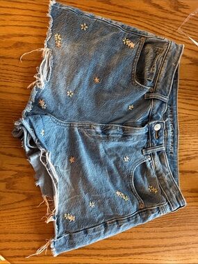 American Eagle Outfitters Light Blue Embroidered Denim Cutoff Shorts